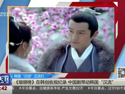 [视频]中国电视剧带动韩国“汉流”《琅琊榜》在韩创收视纪录