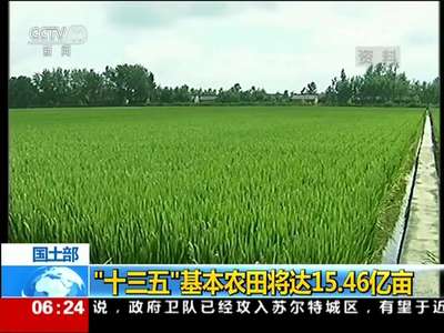 [视频]国土部：“十三五”基本农田将达15.46亿亩