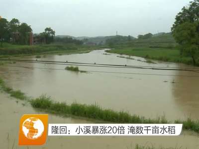 隆回：小溪暴涨20倍 淹数千亩水稻