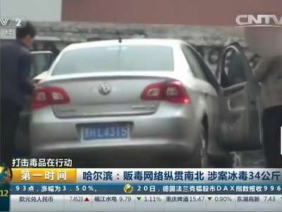[视频]哈尔滨：贩毒网络纵贯南北 涉案病毒34公斤