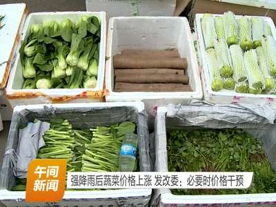 强降雨后蔬菜价格上涨 发改委：必要时价格干预