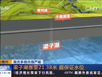 [视频]南方多地汛情严峻 湖北鄂州：梁子湖再次上涨 超过保证水位