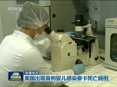 [视频]美国出现首例婴儿感染寨卡死亡病例
