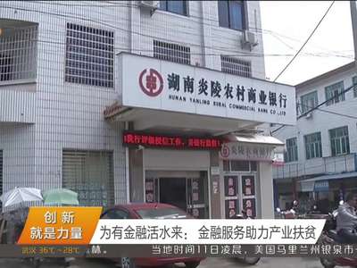 为有金融活水来：金融服务助力产业扶贫
