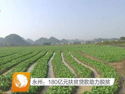 永州：180亿元扶贫贷款助力脱贫
