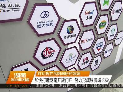 许达哲在岳阳调研时强调 加快打造湖南开放门户 努力形成经济增长极