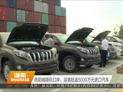 岳阳城陵矶口岸：迎首批逾5000万元进口汽车