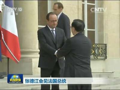 [视频]张德江会见法国总统