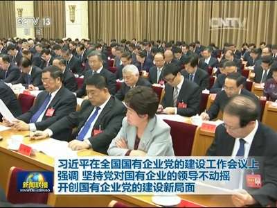 [视频]习近平：坚持党对国有企业的领导不动摇