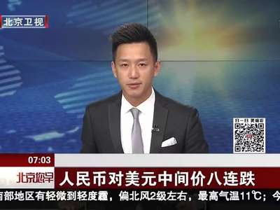 [视频]人民币对美元中间价八连跌
