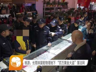 桃源：长筒袜装赃物埋地下 “百万黄金大盗”落法网