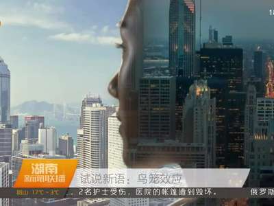 试说新语：鸟笼效应