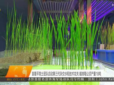 袁隆平院士团队启动第三代杂交水稻技术攻关 瞄准每公顷产量18吨
