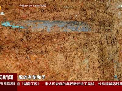 洋湖湿地发现战国古墓 出土青铜文物