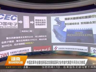 中国改革年会暨创新驱动发展高层研讨会专家代表团今天在长沙参观