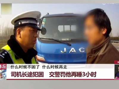 [视频]河南商丘：司机长途犯困 交警罚他再睡3小时