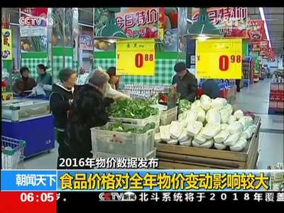 [视频]2016年物价数据发布：食品价格对全年物价变动影响较大