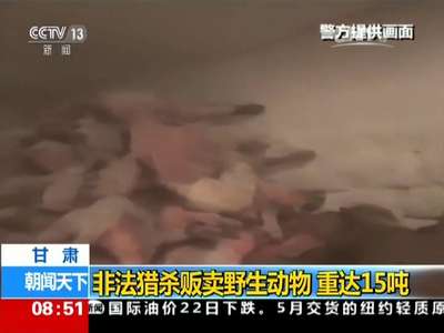 [视频]甘肃：非法猎杀贩卖野生动物 重达15吨