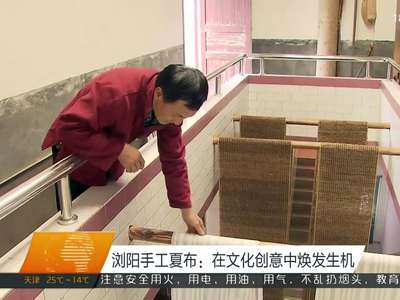 浏阳手工夏布：在文化创意中焕发生机