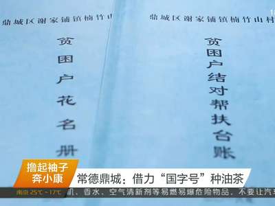 撸起袖子奔小康 精准扶贫在湖南 常德鼎城：借力“国字号”种油茶