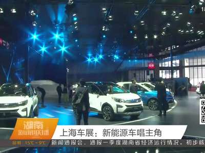 上海车展：新能源车唱主角