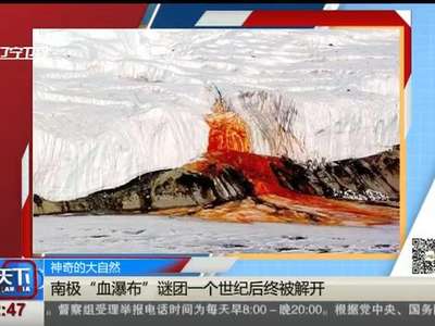 [视频]神奇的大自然：南极“血瀑布”谜团一个世纪后终被解开