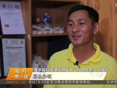 80后湘籍育种专家孙振彪 扎根菲律宾7年培育出5个杂交水稻新品种