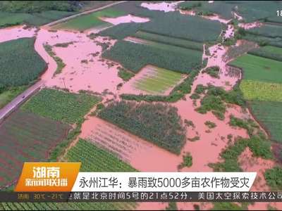 永州江华：暴雨致5000多亩农作物受灾