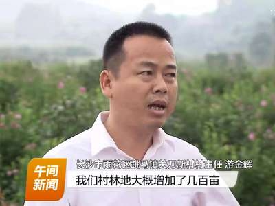 长沙出台办法 鼓励“绿心”地区造绿复绿