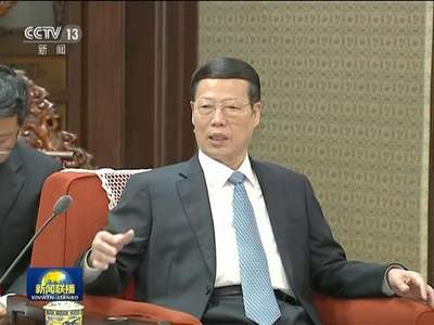 [视频]张高丽会见印尼总统特使