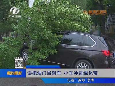 误把油门当刹车 小车冲进绿化带 