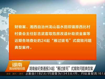 湖南省纪委通报24起“雁过拔毛”式腐败问题典型案