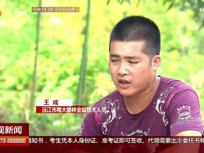 沅江：保护麋鹿 “捕鹿人”温柔出手