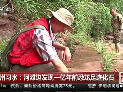 [视频]贵州习水：河滩边发现一亿年前恐龙足迹化石