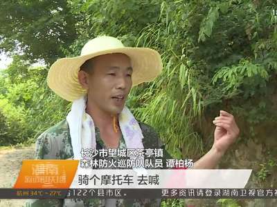 高温下的坚守：森林防火员骑着摩托车巡山