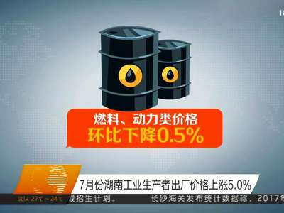 7月份湖南工业生产者出厂价格上涨5.0%