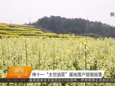 神十一“太空油菜”基地落户湖南临澧