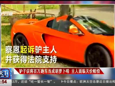 [视频]驴子误将百万跑车当成胡萝卜啃 主人面临天价赔偿