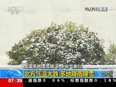 [视频]北方气温大跌 多地降雨降雪