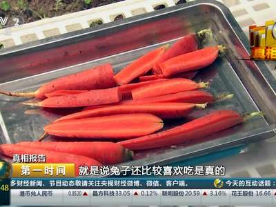 [视频]真相报告：兔子不能只吃胡萝卜是真的吗