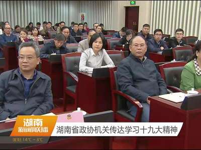 湖南省政协机关传达学习十九大精神