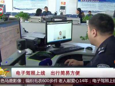 [视频]电子驾照上线 出行简易方便