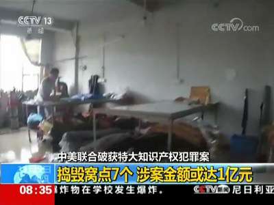 [视频]公安部 中美联合破获特大知识产权犯罪案