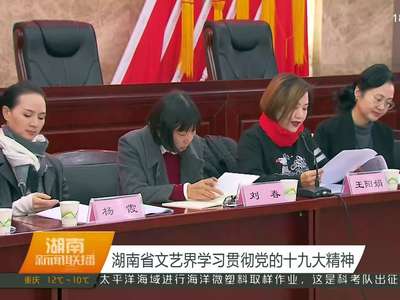 湖南省文艺界学习贯彻党的十九大精神