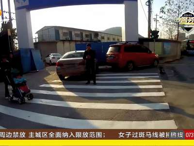 男子网购假车牌避抓拍 路边违停被交警查获