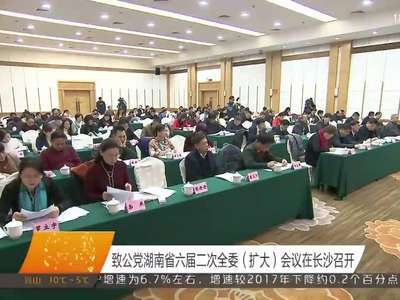 致公党湖南省六届二次全委（扩大）会议在长沙召开