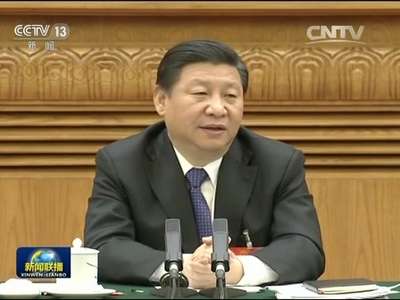 [视频]习近平参加黑龙江代表团审议