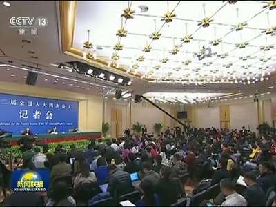 [视频]十二届全国人大四次会议举行记者会