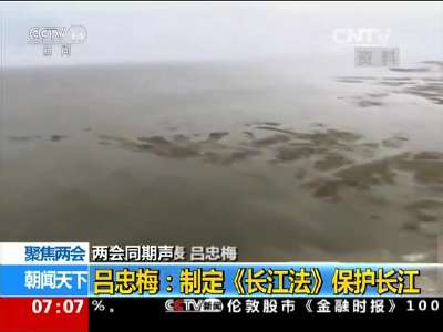 [视频]聚焦两会 两会同期声 吕忠梅：制定《长江法》保护长江