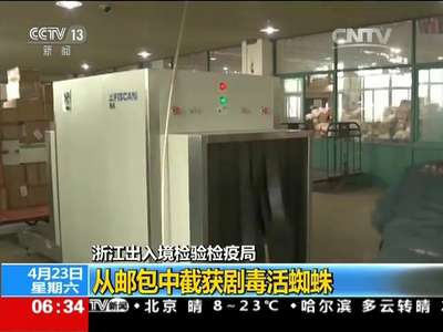 [视频]浙江出入境检验检疫局 从邮包中截获剧毒活蜘蛛